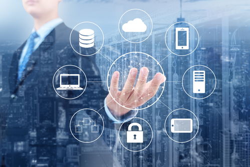 科技公司命名之道 融合创意与数字文化的内容服务新思维